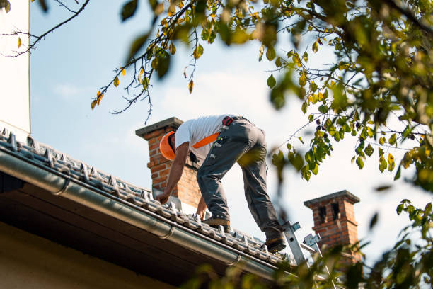 Best Flat Roof Repair Services  in Ashwaubenon, WI